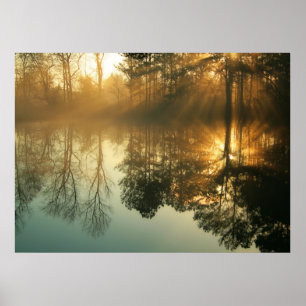 Morning Mist Poster