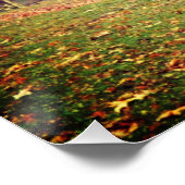 Morning Mist Poster (Ecke)