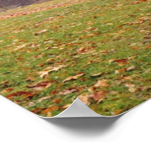 Morning Mist Poster (Ecke)