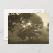 Morning Mist Postkarte (Vorne/Hinten)