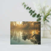 Morning Mist Postkarte (Stehend Vorderseite)