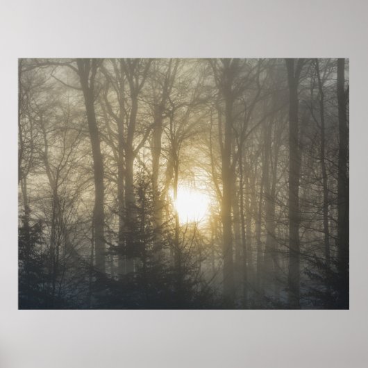 Morning Mood Poster (Vorne)