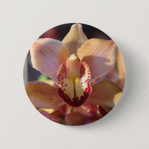 Morning Orchid Button