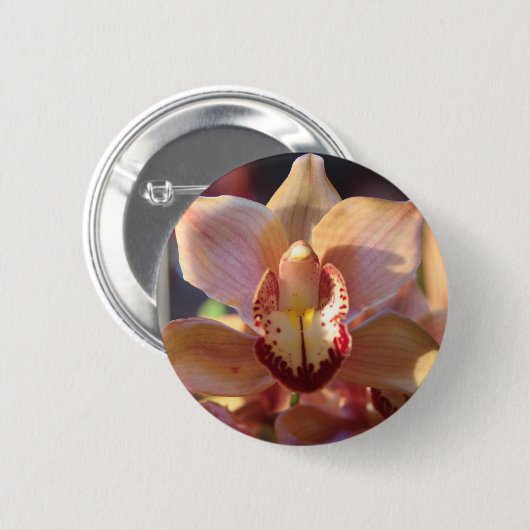 Morning Orchid Button (Vorne & Hinten)