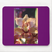 Morning Orchid Mousepad (Vorne)