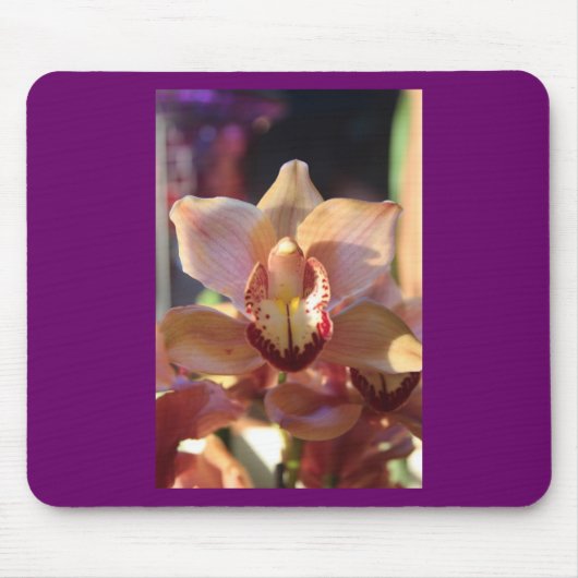 Morning Orchid Mousepad (Vorne)