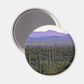 Morning Panorama Hinter Saguaros Magnet (Vorderseite/Rückseite)