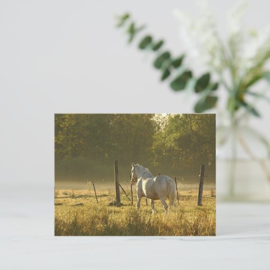 Morning Pasteur Szene Postkarte (Stehend Vorderseite)