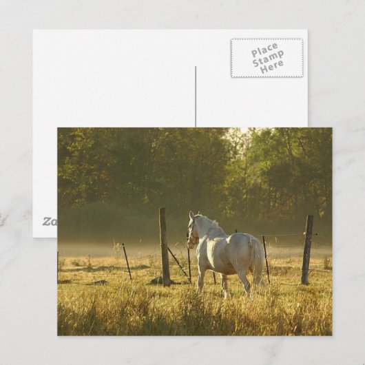 Morning Pasteur Szene Postkarte (Vorne/Hinten)