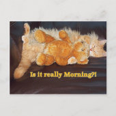 Morning?? Postcard Postkarte (Vorderseite)