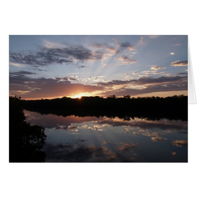 Morning Rays (Vorderseite (Horizontal))