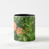 Morning Roses Tasse (Zentrum)