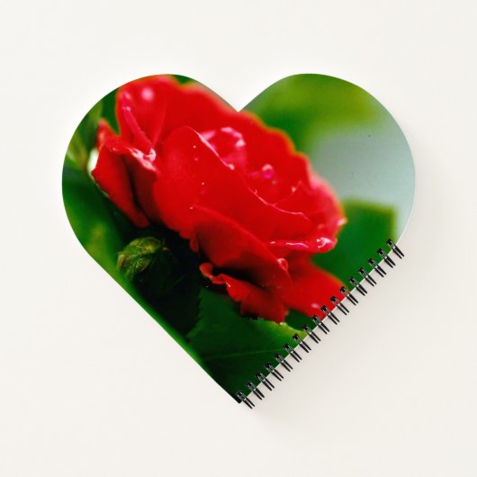 Morning Rote Rose Herz geformt SpiralNotebook Notizblock (Rückseite)