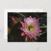 Morning Shade Postkarte (Vorne/Hinten)