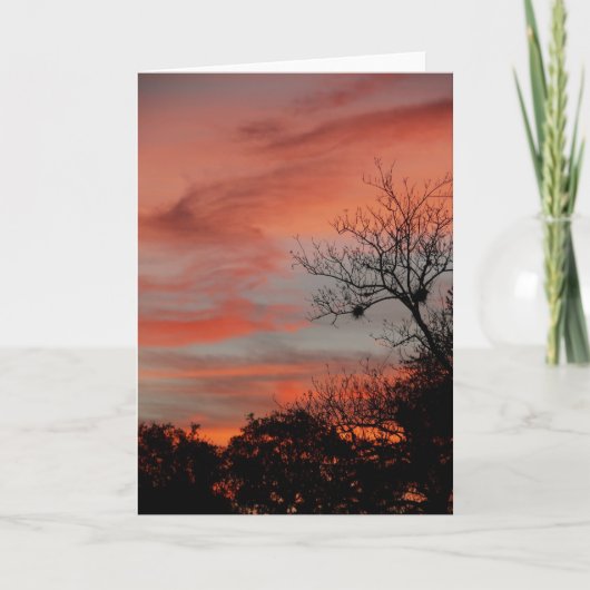 Morning Sky Karte (Vorderseite)