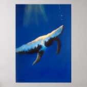 Morning Song Humpback Whale Underwater Poster (Vorne)