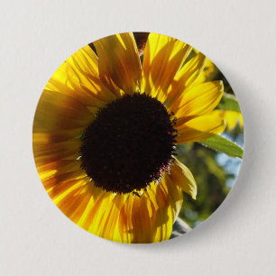 Morning Sonnenblume individuell einstellbar Button