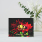 Morning Star Postkarte (Stehend Vorderseite)
