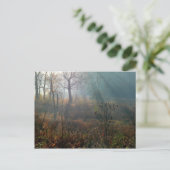 Morning Sun @the Wetlands Postkarte (Stehend Vorderseite)