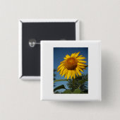 Morning Sunflower Button (Vorne & Hinten)