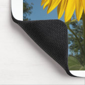 Morning Sunflower Mousepad (Ecke)