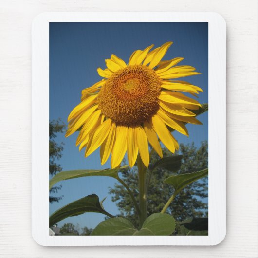 Morning Sunflower Mousepad (Vorne)