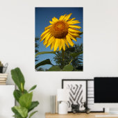 Morning Sunflower Poster (Heimbüro)