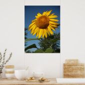 Morning Sunflower Poster (Küche)
