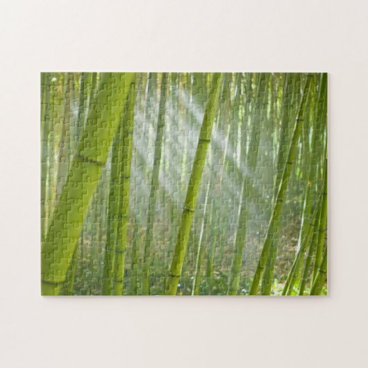 Morning sunlight filtering through bamboo puzzle (Horizontal)