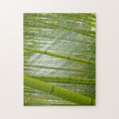 Morning sunlight filtering through bamboo puzzle (Vertikal)