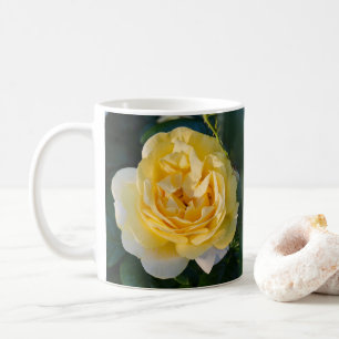 Morning Sunshine Rose Kaffeetasse