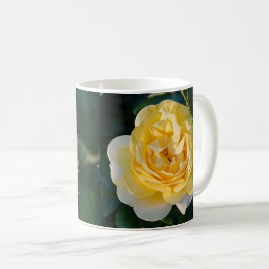 Morning Sunshine Rose Kaffeetasse (VorderseiteRechts)