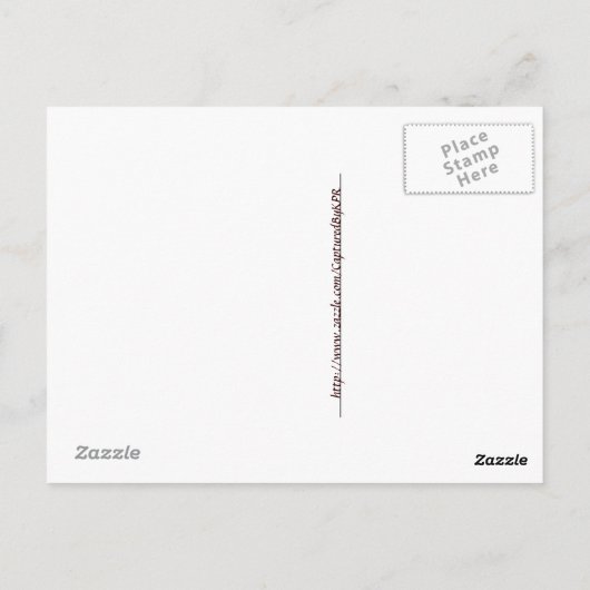 Morning Tea Postkarte (Rückseite)