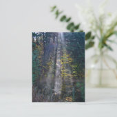 Morning Vermont Forest Postkarte (Stehend Vorderseite)