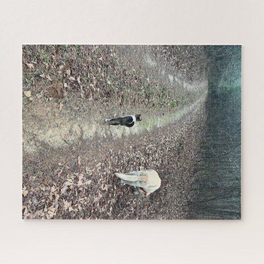 Morning Walk Puzzle (Horizontal)