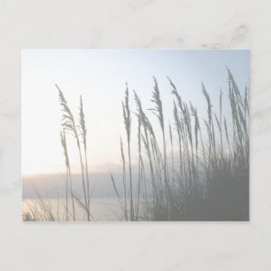 Morning Whisky Postkarte