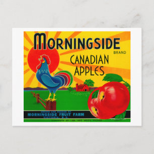Morningside Apple LabelKanada Postkarte