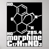 Morphin Poster (Vorne)