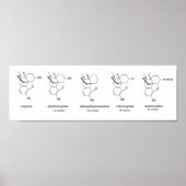 Morphine Chart Poster (Vorne)