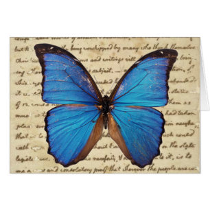 Morpho Butterfly auf Vintager Handschriftenkarte