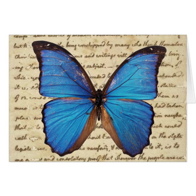 Morpho Butterfly auf Vintager Handschriftenkarte (Vorderseite (Horizontal))