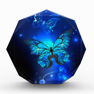Morpho Butterfly in the Dark Background Fotoblock