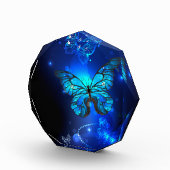 Morpho Butterfly in the Dark Background Fotoblock (Rechts)