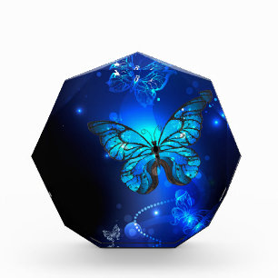 Morpho Butterfly in the Dark Background Fotoblock