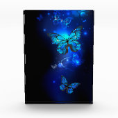 Morpho Butterfly in the Dark Background Fotoblock (Vorderseite)