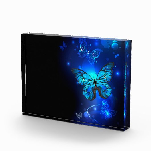 Morpho Butterfly in the Dark Background Fotoblock (Rechts)