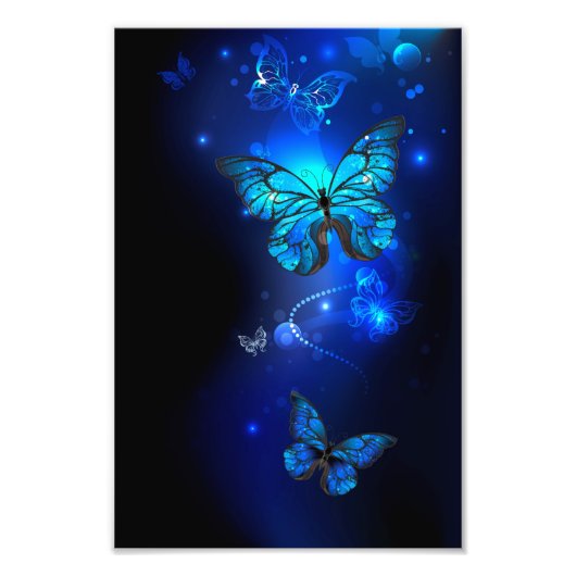 Morpho Butterfly in the Dark Background Fotodruck (Vorne)