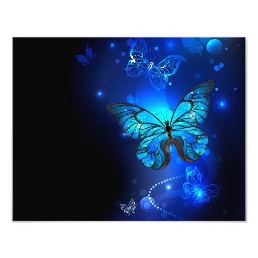 Morpho Butterfly in the Dark Background Fotodruck (Vorne)