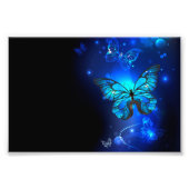Morpho Butterfly in the Dark Background Fotodruck (Vorne)