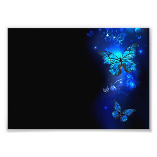 Morpho Butterfly in the Dark Background Fotodruck (Vorne)